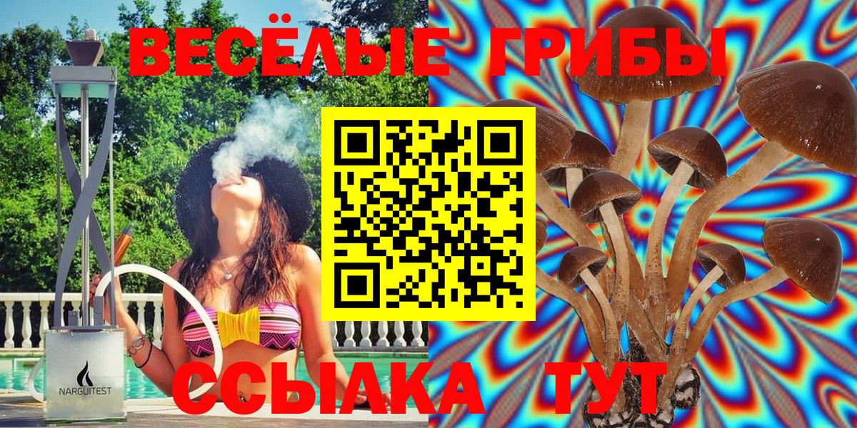 Орехово-Зуево  Псилоцибиновые грибы Magic Shrooms  Вход с VPN 